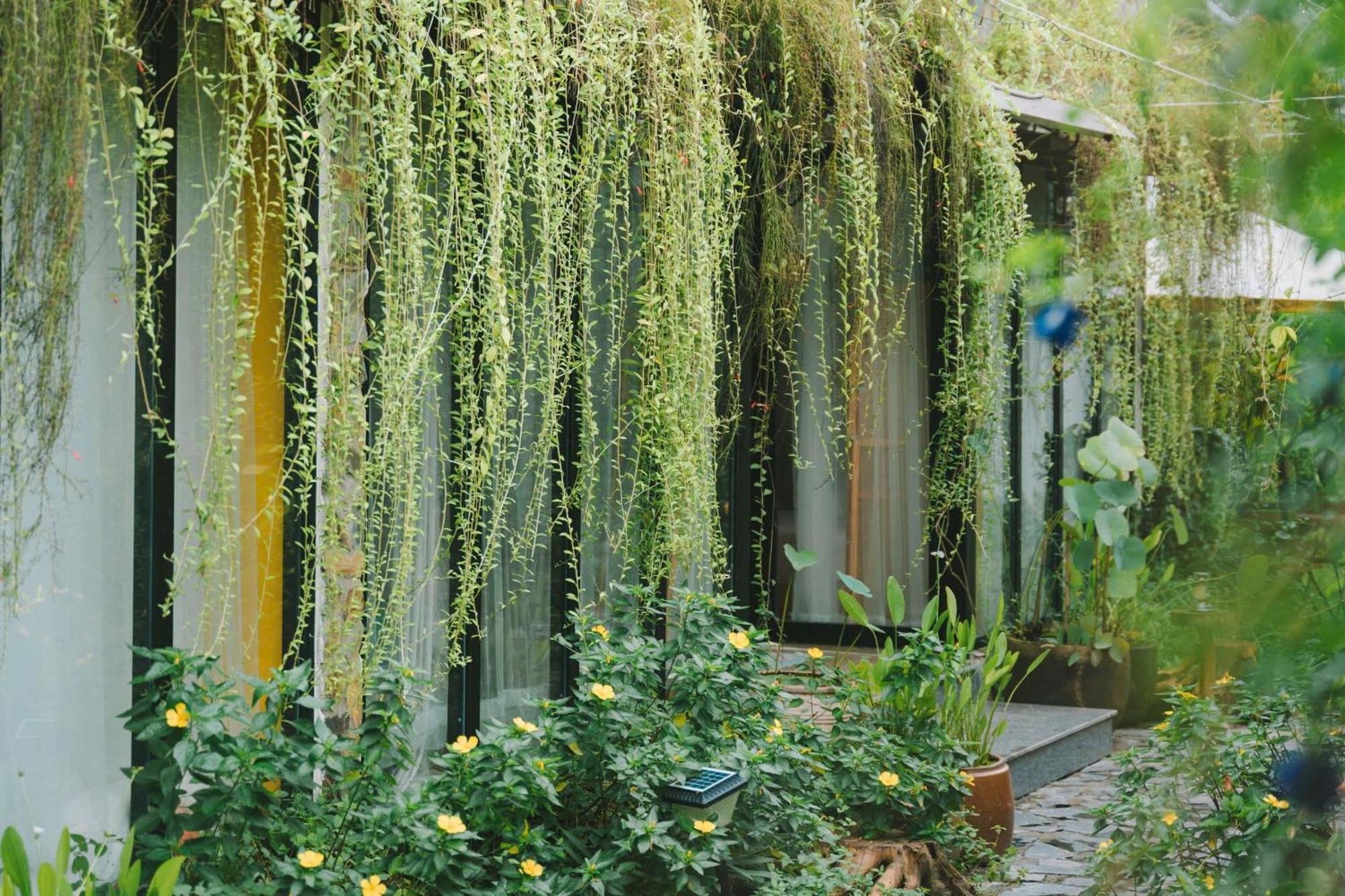 Ben Do Xua Homestay & Coffee Cai Rang Eksteriør bilde