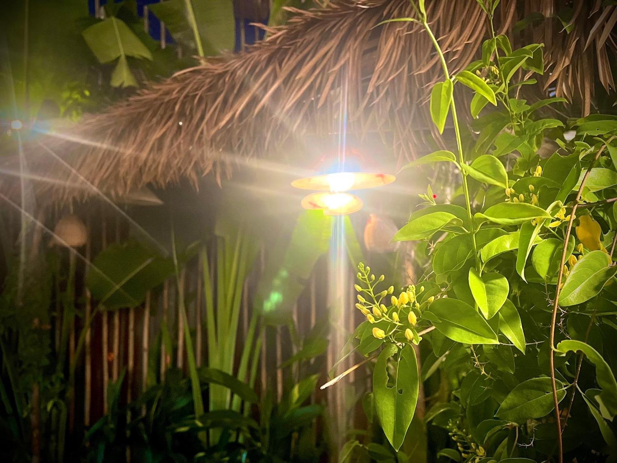 Ben Do Xua Homestay & Coffee Cai Rang Eksteriør bilde