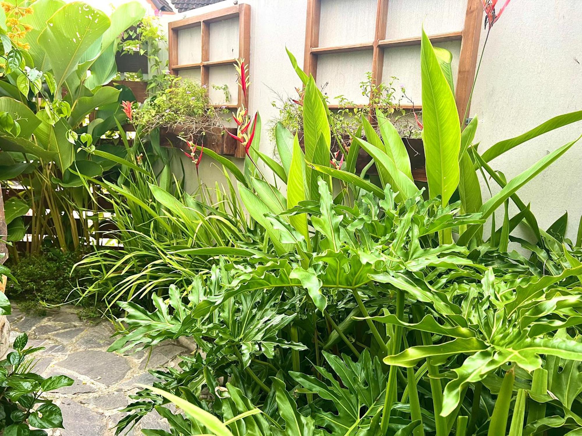 Ben Do Xua Homestay & Coffee Cai Rang Eksteriør bilde